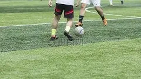 问鼎娱乐官网入口 资讯 092738 kgz