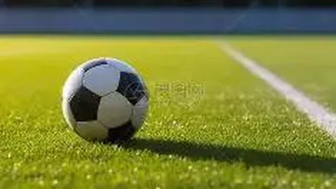 问鼎娱乐官网入口 资讯 085507 tb5