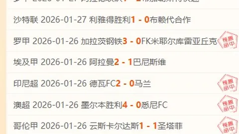 揭秘国足归化球员薪资：顶级球星年薪1500万欧未出战，费南多120万受忽视